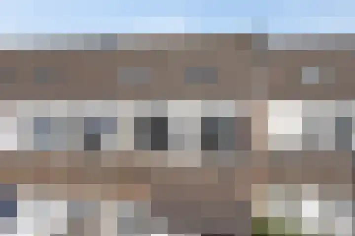 Kanariesprenk 27 Vlissingen thumbnail 28
