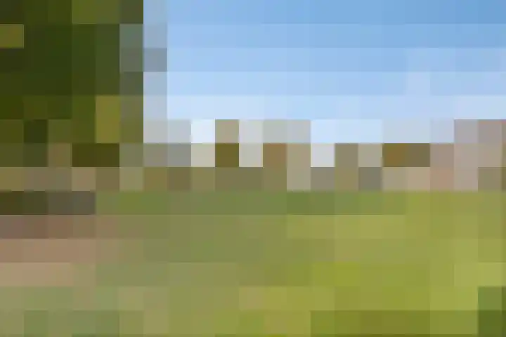 Kanariesprenk 27 Vlissingen thumbnail 29