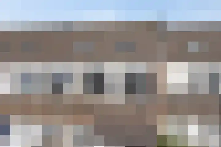 Kanariesprenk 27 Vlissingen thumbnail 4