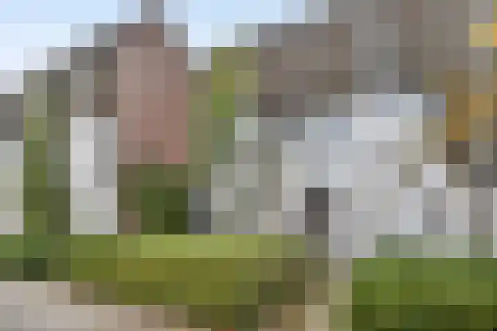 Kanariesprenk 27 Vlissingen thumbnail 6