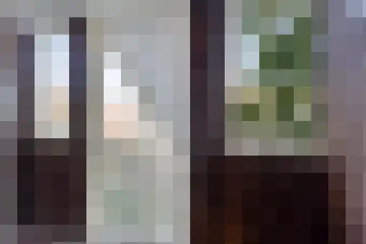 Kanariesprenk 27 Vlissingen thumbnail 7