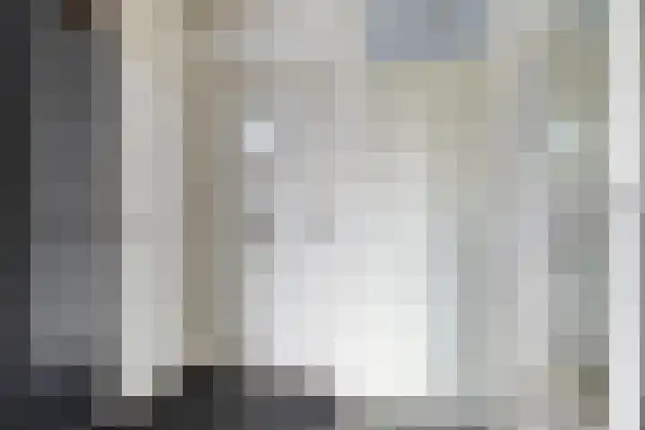 Kanariesprenk 27 Vlissingen thumbnail 9
