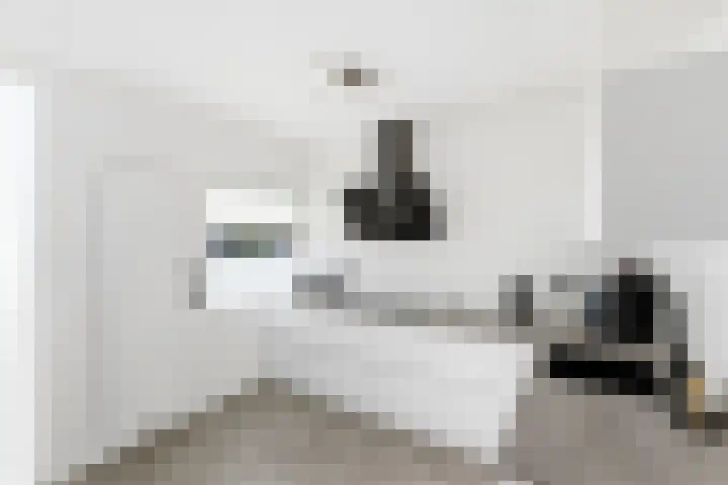 Kanariesprenk 279 Vlissingen thumbnail 12