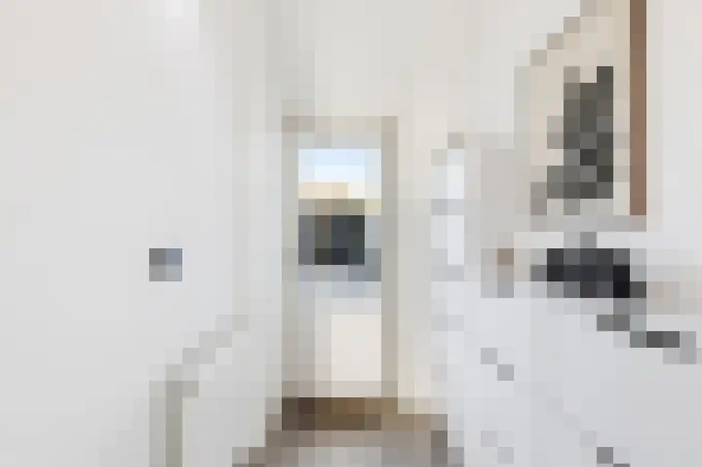 Kanariesprenk 279 Vlissingen thumbnail 16