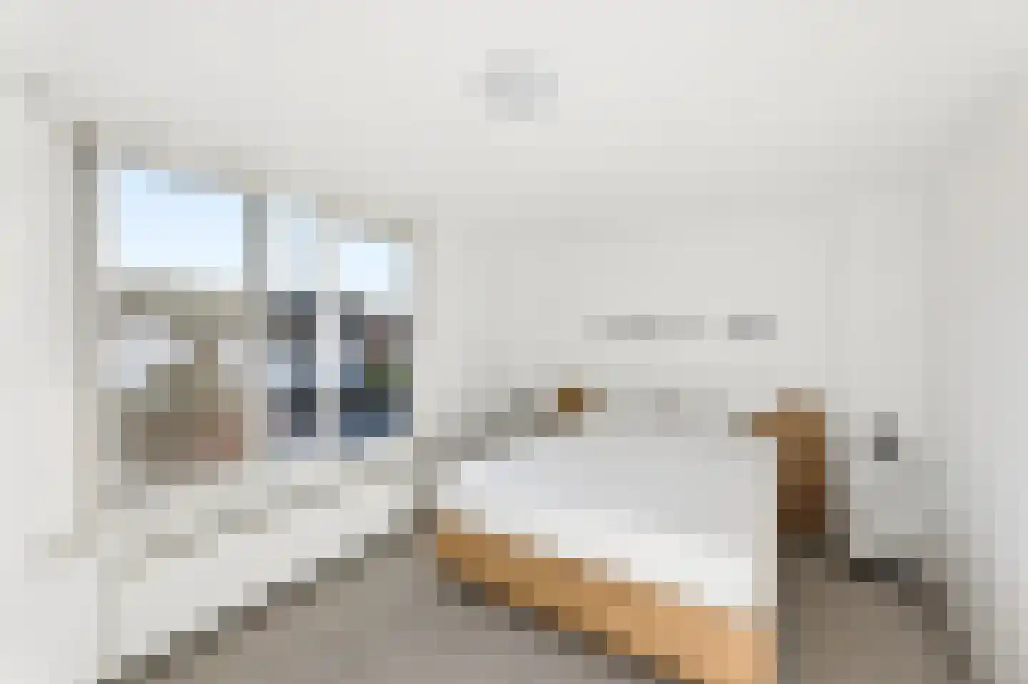 Kanariesprenk 279 Vlissingen thumbnail 21