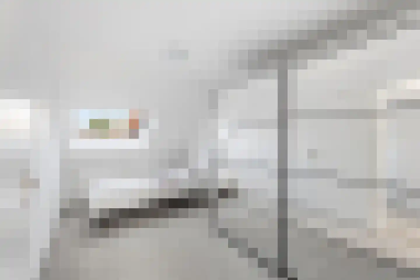 Kanariesprenk 279 Vlissingen thumbnail 23