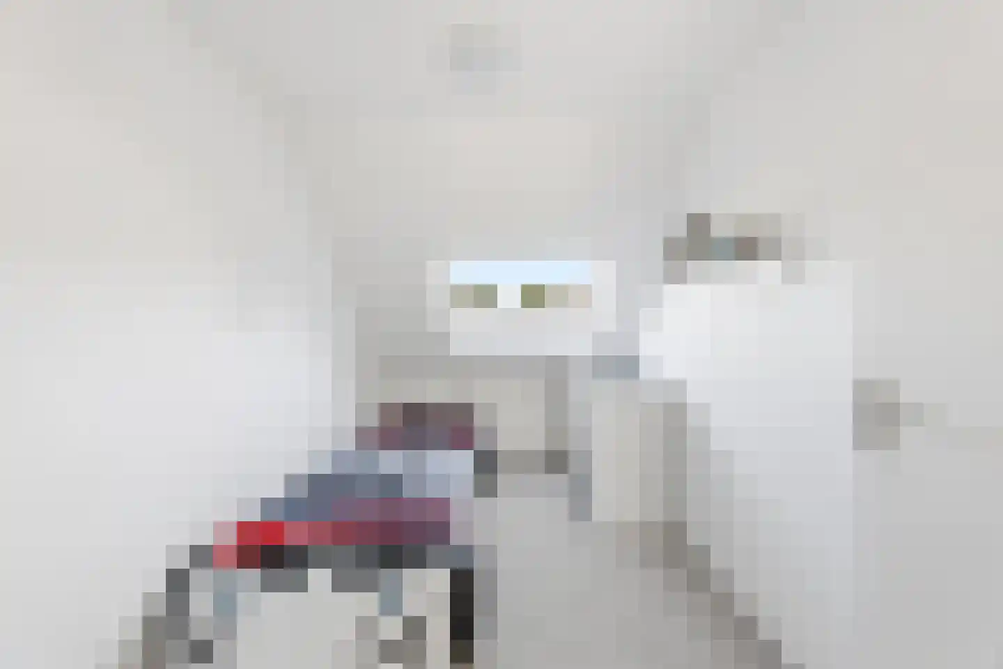 Kanariesprenk 279 Vlissingen thumbnail 25