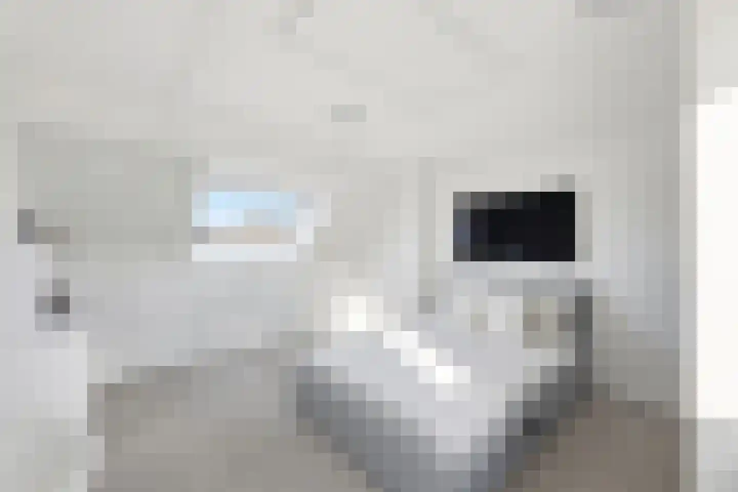Kanariesprenk 279 Vlissingen thumbnail 31