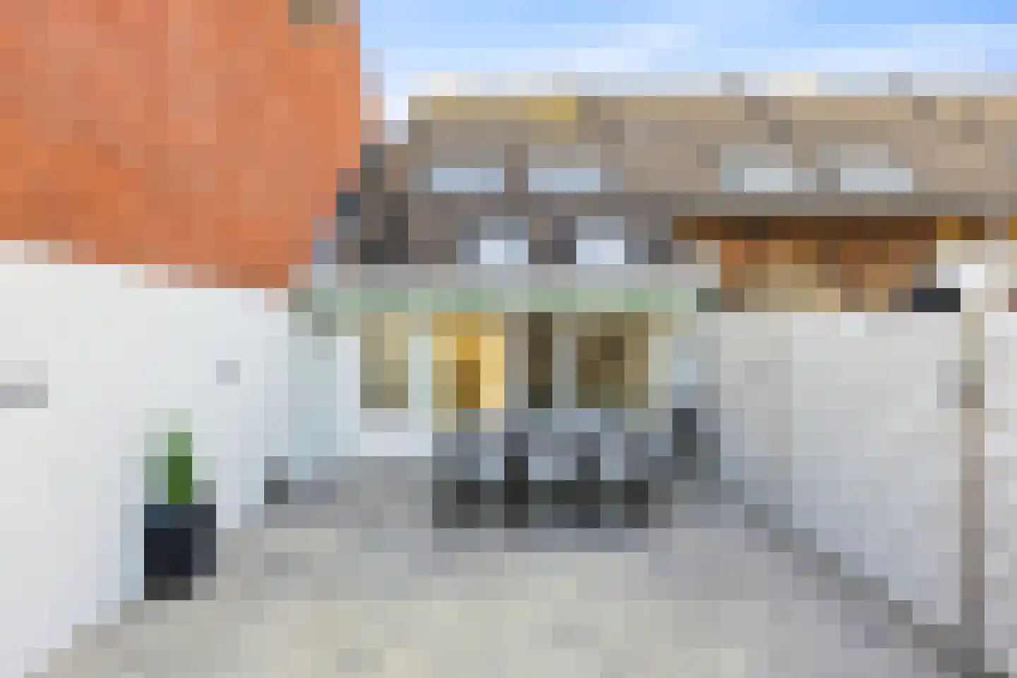 Kanariesprenk 279 Vlissingen thumbnail 33