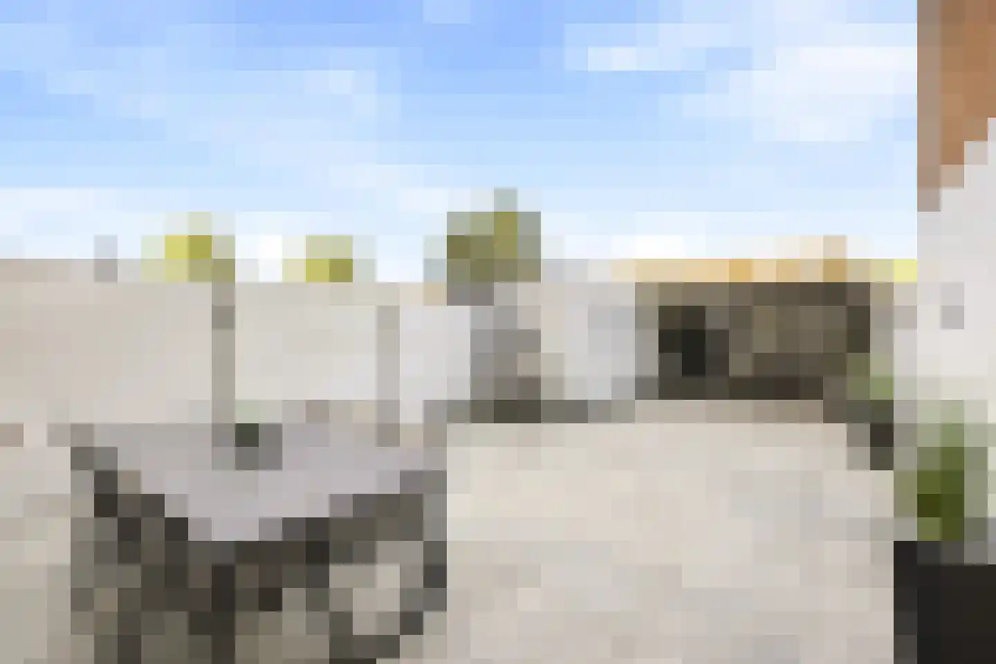 Kanariesprenk 279 Vlissingen thumbnail 34