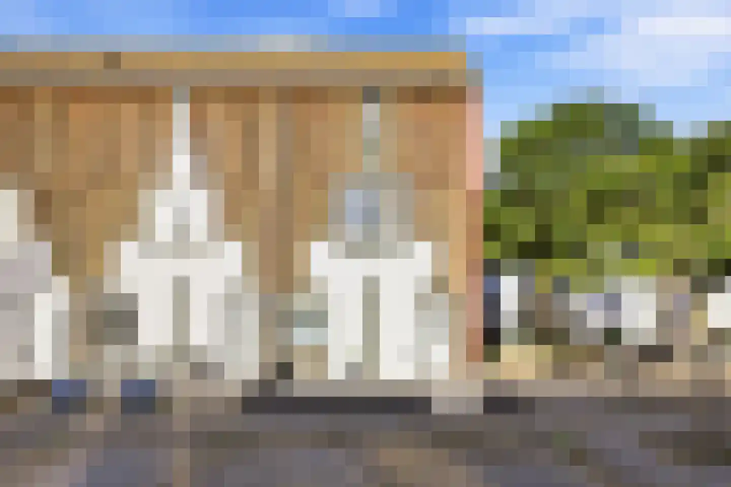Kanariesprenk 279 Vlissingen thumbnail 37