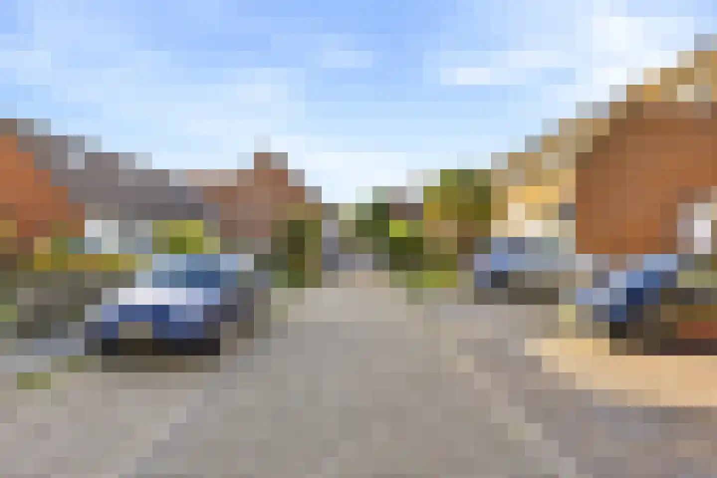 Kanariesprenk 279 Vlissingen thumbnail 38