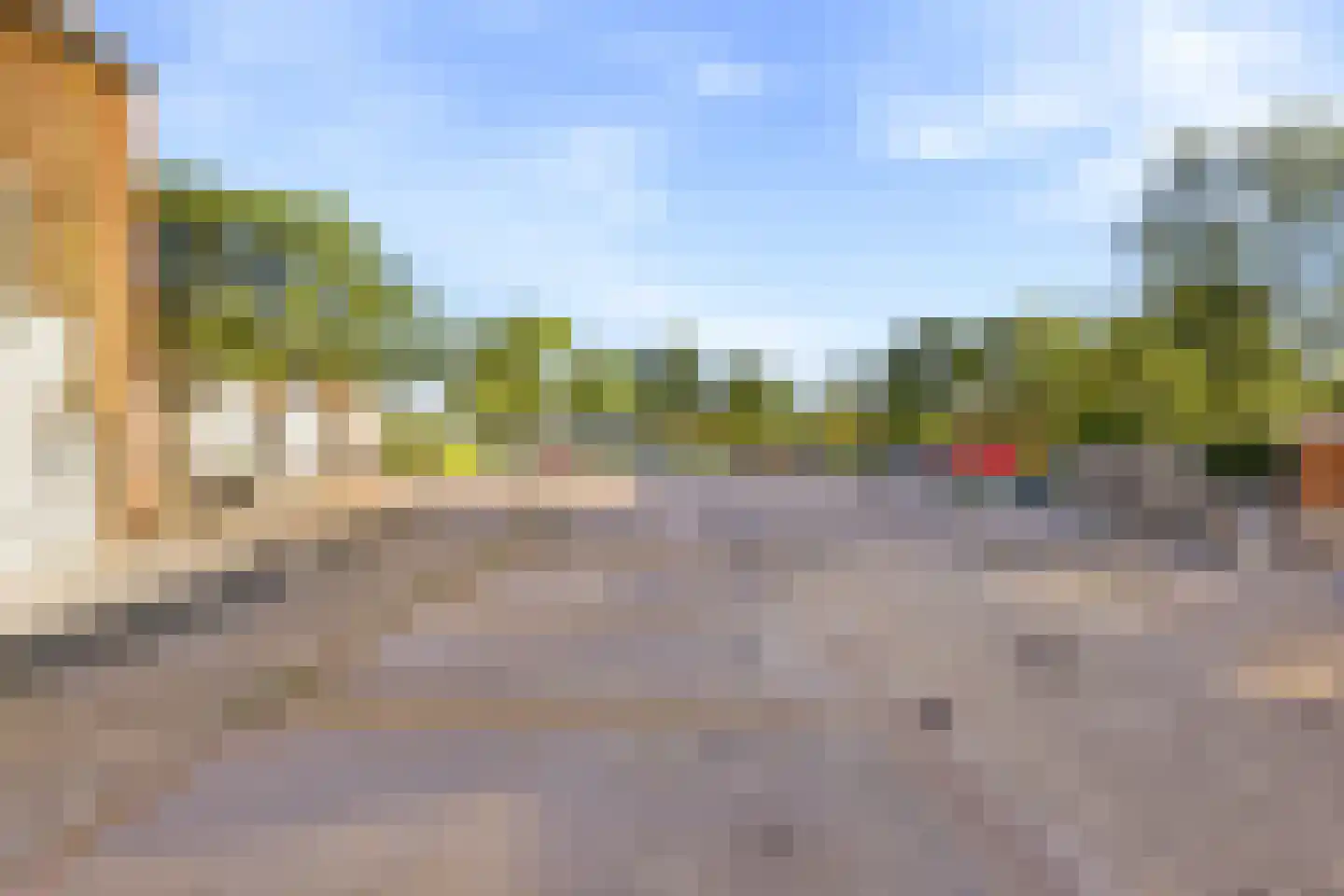 Kanariesprenk 279 Vlissingen thumbnail 39
