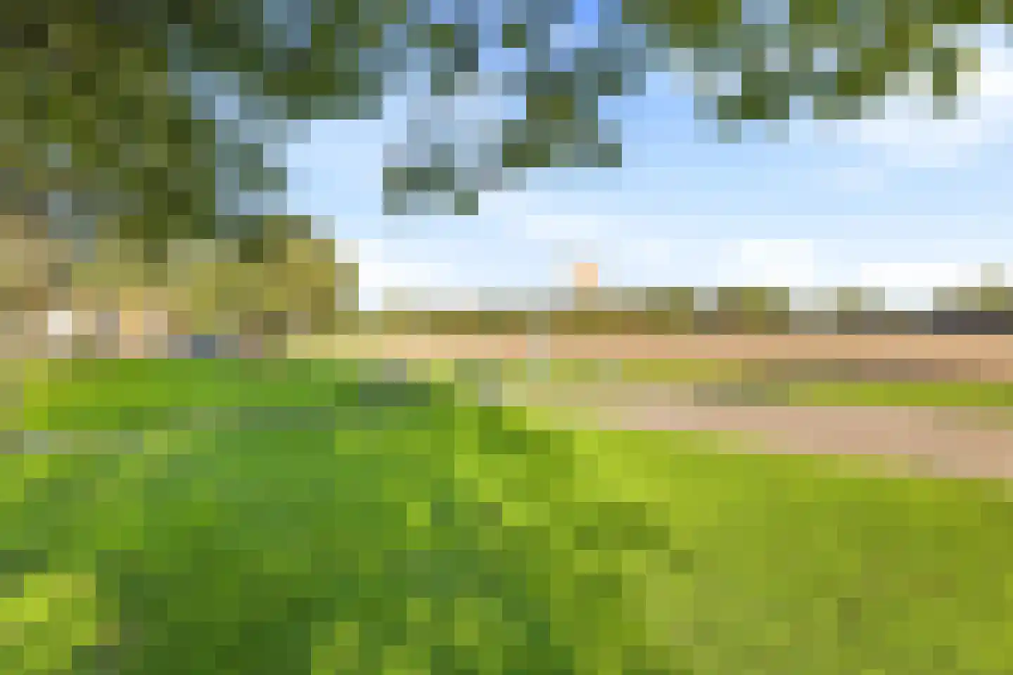 Kanariesprenk 279 Vlissingen thumbnail 41