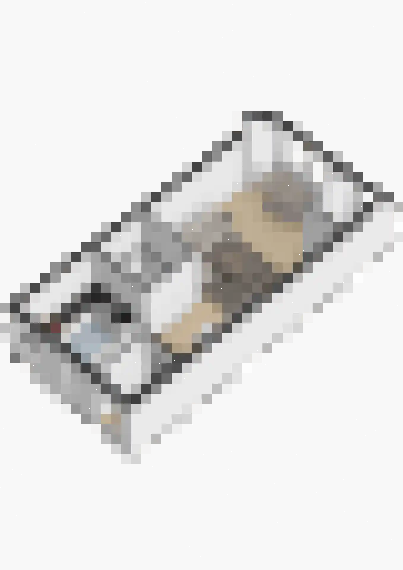 Kanariesprenk 279 Vlissingen thumbnail 43