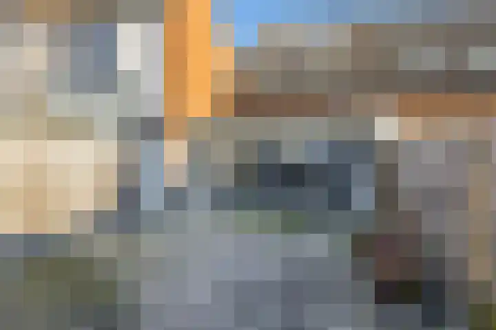 Kanariesprenk 345 Vlissingen thumbnail 32