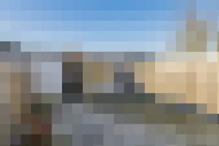 Kanariesprenk 345 Vlissingen thumbnail 33