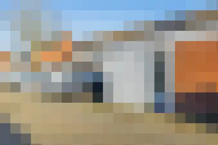 Kanariesprenk 345 Vlissingen thumbnail 37