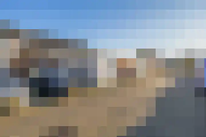 Kanariesprenk 345 Vlissingen thumbnail 38
