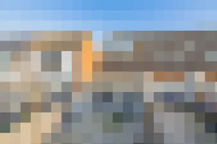 Kanariesprenk 345 Vlissingen thumbnail 39