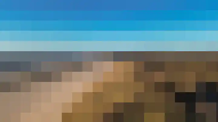 Kanariesprenk 345 Vlissingen thumbnail 42