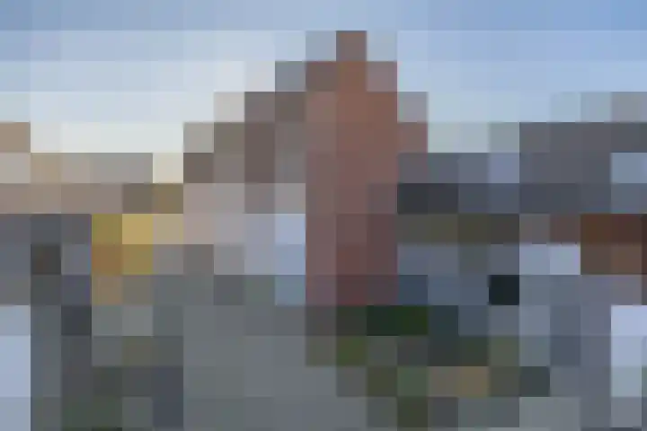 Kanariesprenk 345 Vlissingen thumbnail 8