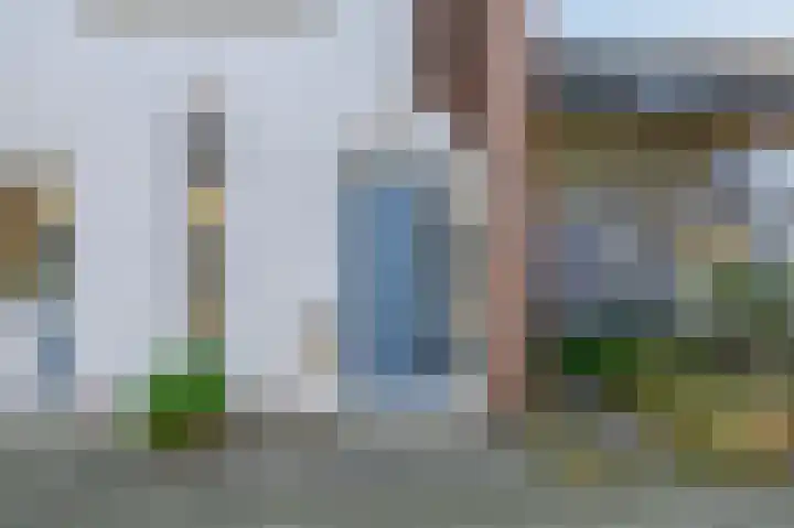 Kanariesprenk 345 Vlissingen thumbnail 9