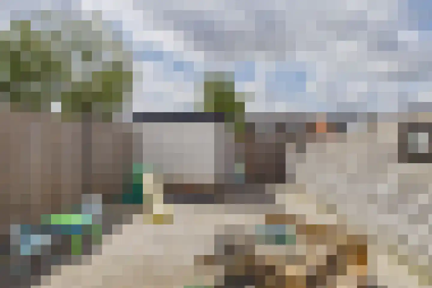 Kanariesprenk 355 Vlissingen thumbnail 28