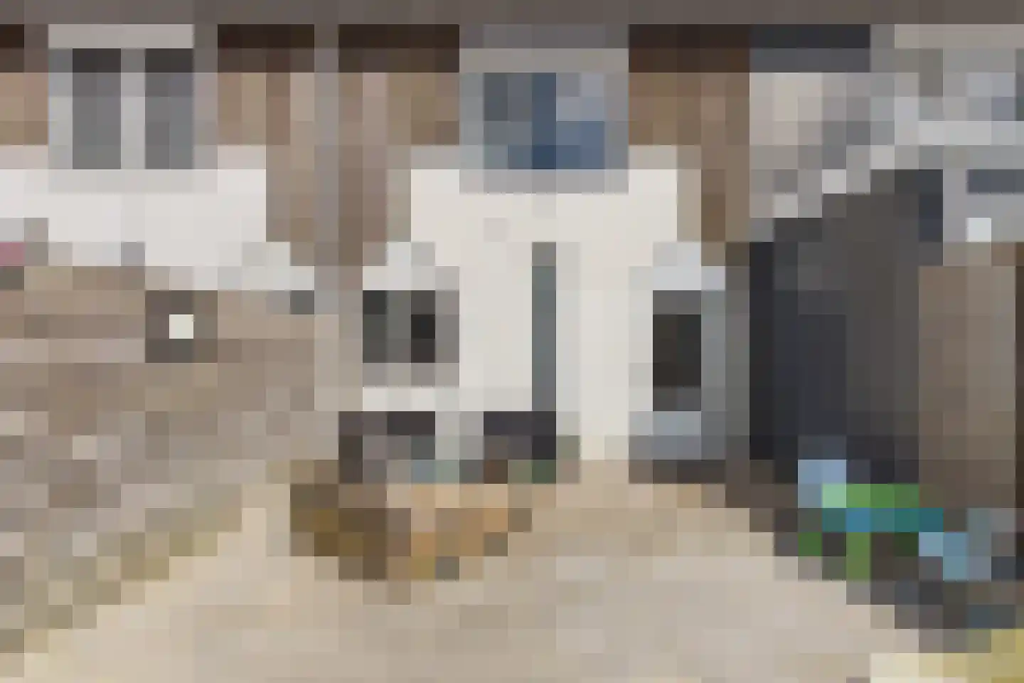 Kanariesprenk 355 Vlissingen thumbnail 29