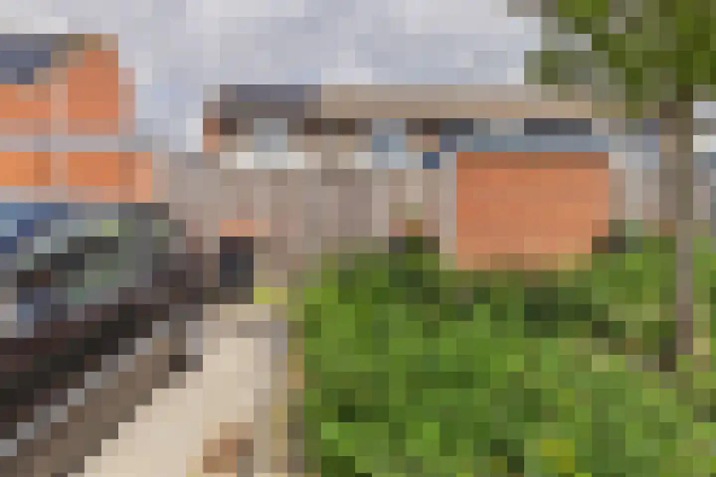 Kanariesprenk 355 Vlissingen thumbnail 31
