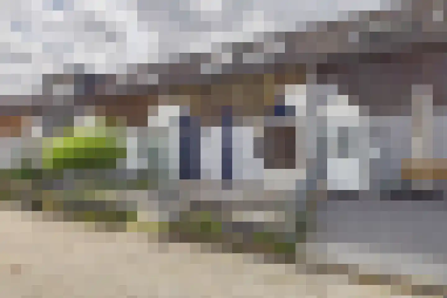 Kanariesprenk 355 Vlissingen thumbnail 32