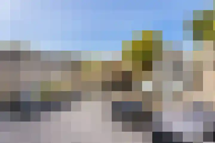 Kanariesprenk 363 Vlissingen thumbnail 14