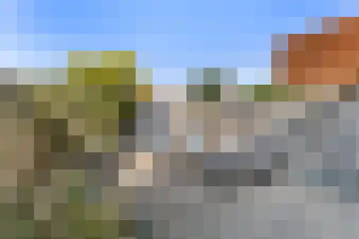 Kanariesprenk 363 Vlissingen thumbnail 15