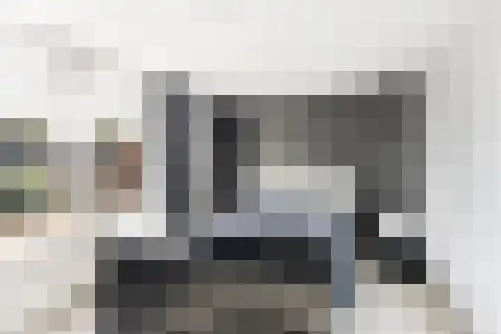 Kanariesprenk 363 Vlissingen thumbnail 17