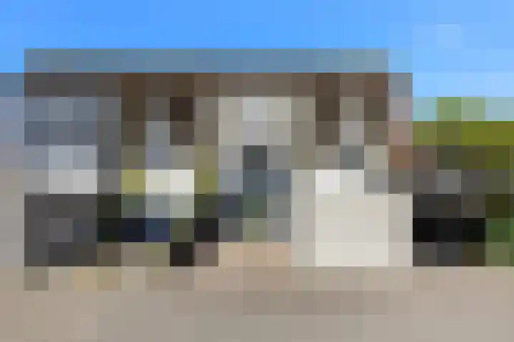 Kanariesprenk 363 Vlissingen thumbnail 5
