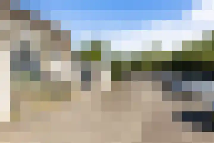 Kanariesprenk 363 Vlissingen thumbnail 6