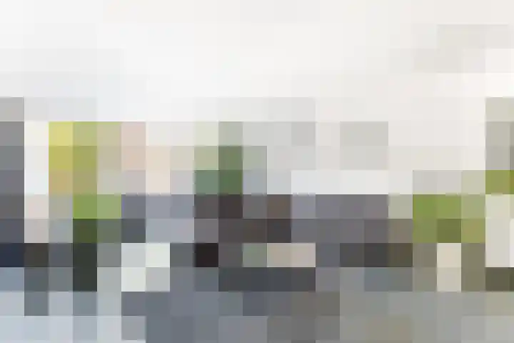 Kanariesprenk 363 Vlissingen thumbnail 8