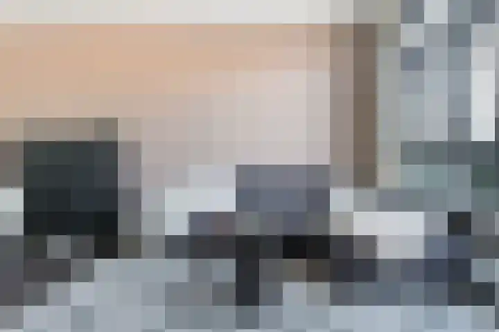 Kanariesprenk 37 Vlissingen thumbnail 11
