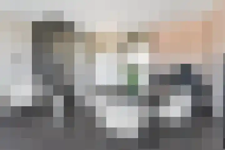 Kanariesprenk 37 Vlissingen thumbnail 13