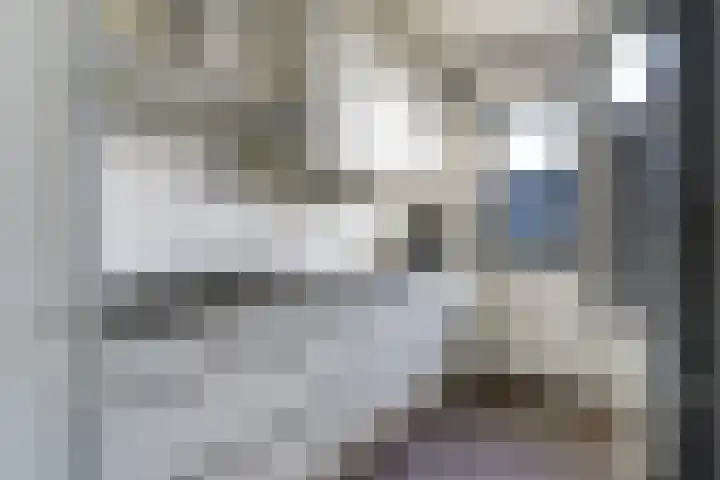 Kanariesprenk 37 Vlissingen thumbnail 14