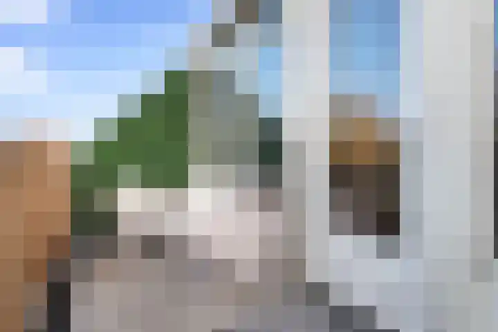 Kanariesprenk 37 Vlissingen thumbnail 17