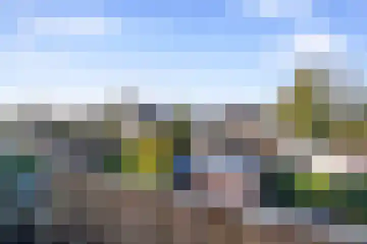 Kanariesprenk 37 Vlissingen thumbnail 19