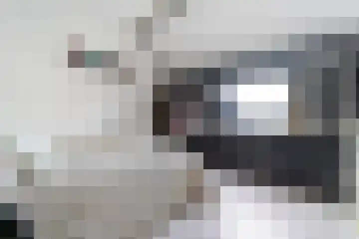 Kanariesprenk 37 Vlissingen thumbnail 20