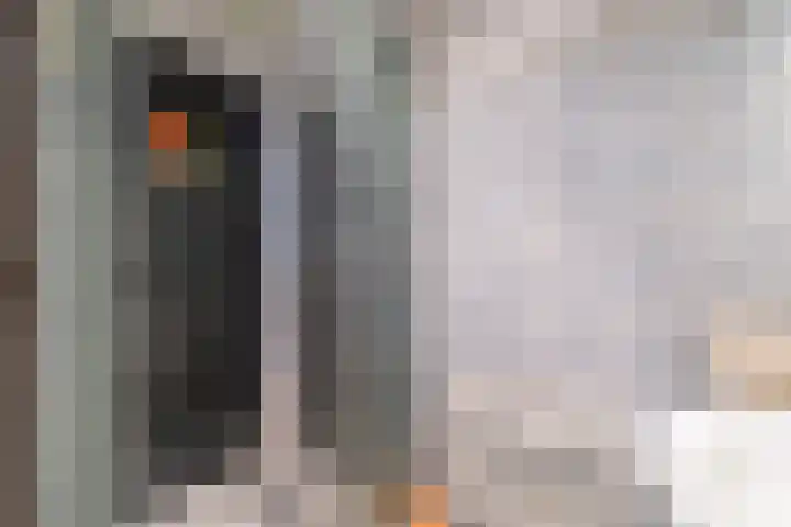 Kanariesprenk 37 Vlissingen thumbnail 22