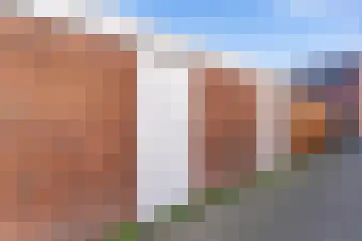 Kanariesprenk 37 Vlissingen thumbnail 24