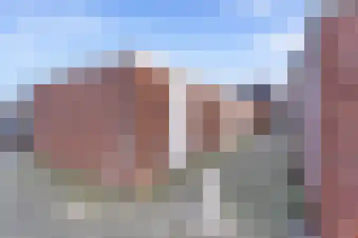 Kanariesprenk 37 Vlissingen thumbnail 25