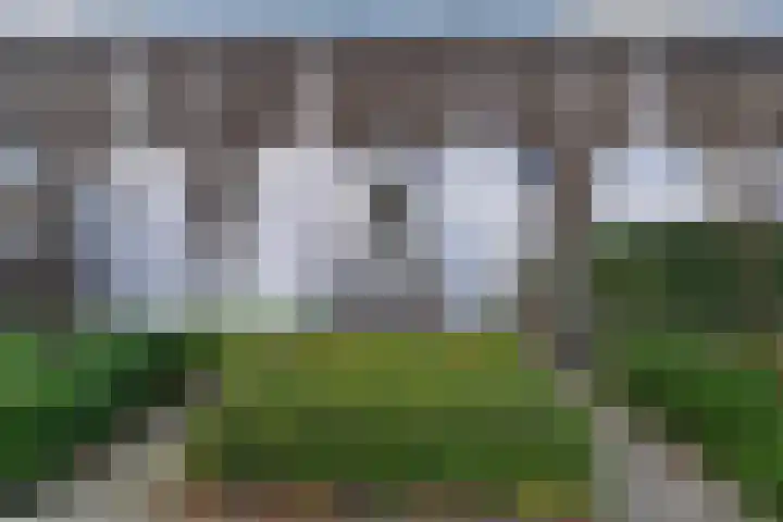 Kanariesprenk 37 Vlissingen thumbnail 26