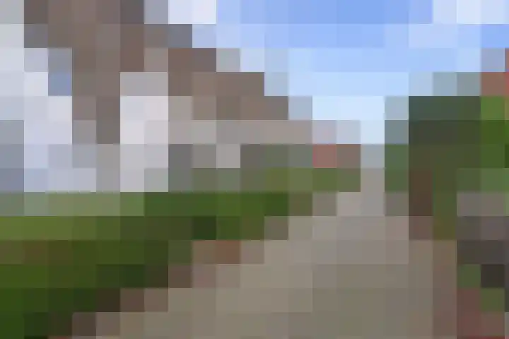 Kanariesprenk 37 Vlissingen thumbnail 27