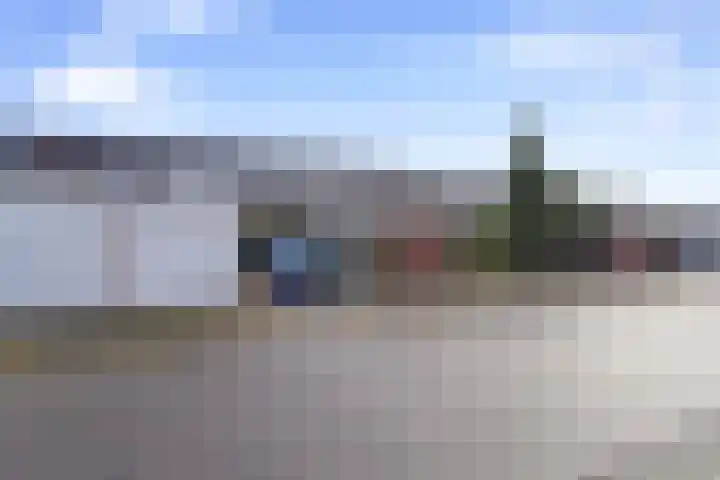 Kanariesprenk 37 Vlissingen thumbnail 28
