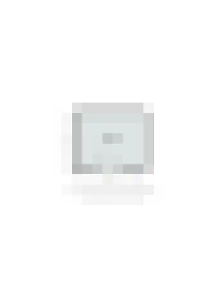 Kanariesprenk 37 Vlissingen thumbnail 31